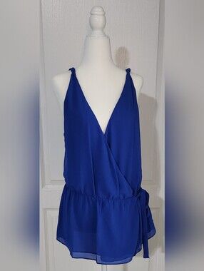 Naked Zebra Bold Blue V-Neck Blouse